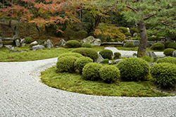 造園・緑化工事